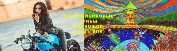 apvp Армянск