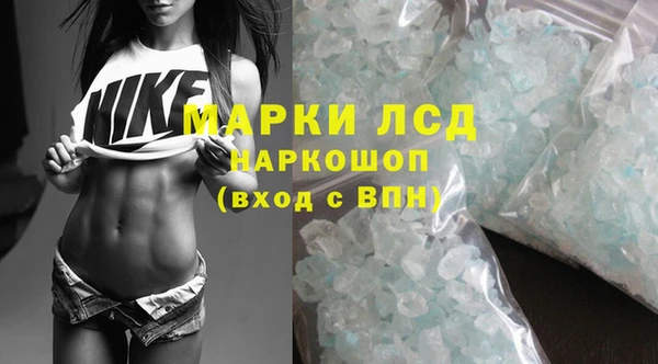 apvp Аркадак
