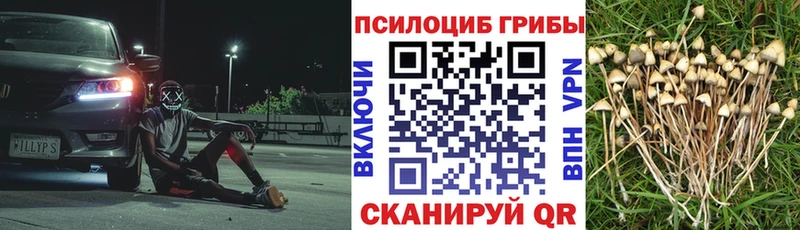 Галлюциногенные грибы MAGIC MUSHROOMS  Якутск 